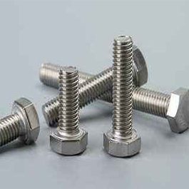 Stainless Steel 317L Bolt